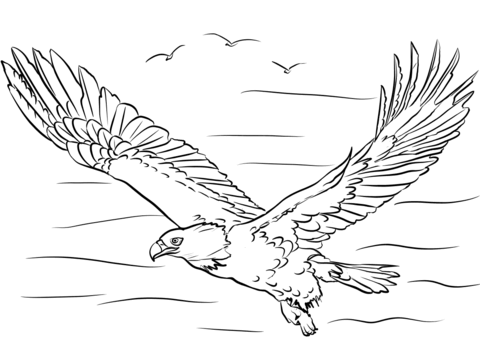 Bald Eagle With Wings Spread Coloring Page